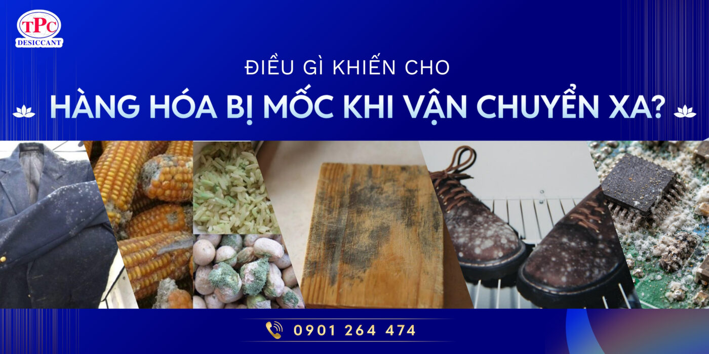 điều gì khiến cho hàng hóa bị mốc khi vận chuyển
