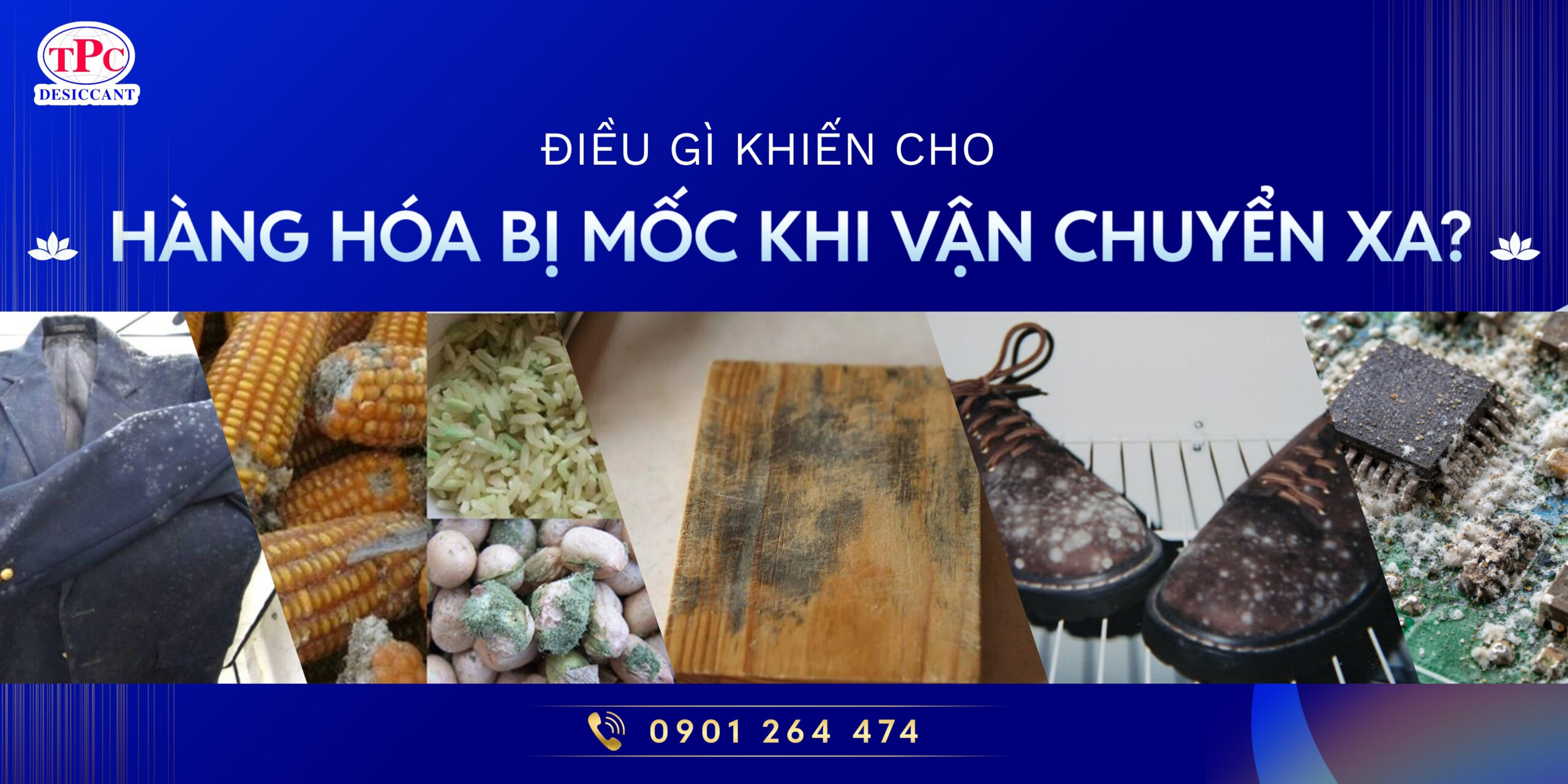 điều gì khiến cho hàng hóa bị mốc khi vận chuyển