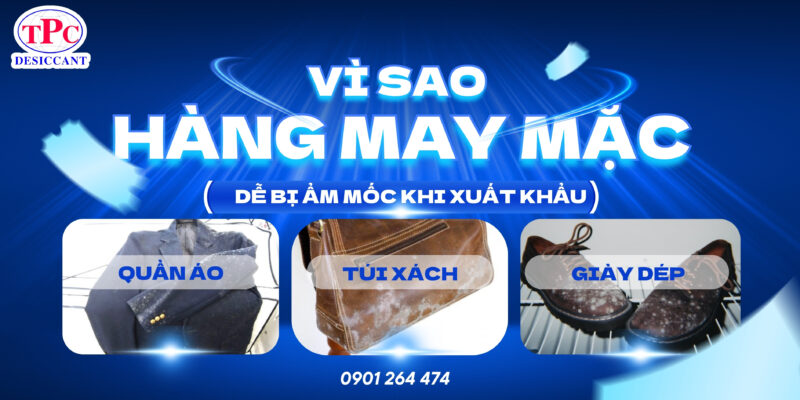 vì sao hàng may mặc dễ bị ẩm mốc khi xuất khẩu