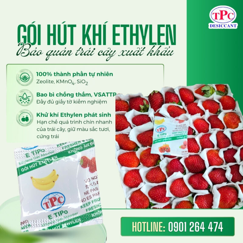 gói hút khí ethylene hạn chế hư hỏng trái cây xuất khẩu
