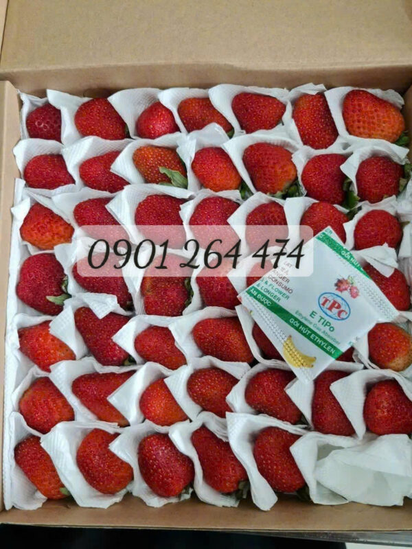 biện pháp hạn chế hư hỏng dâu xuất khẩu